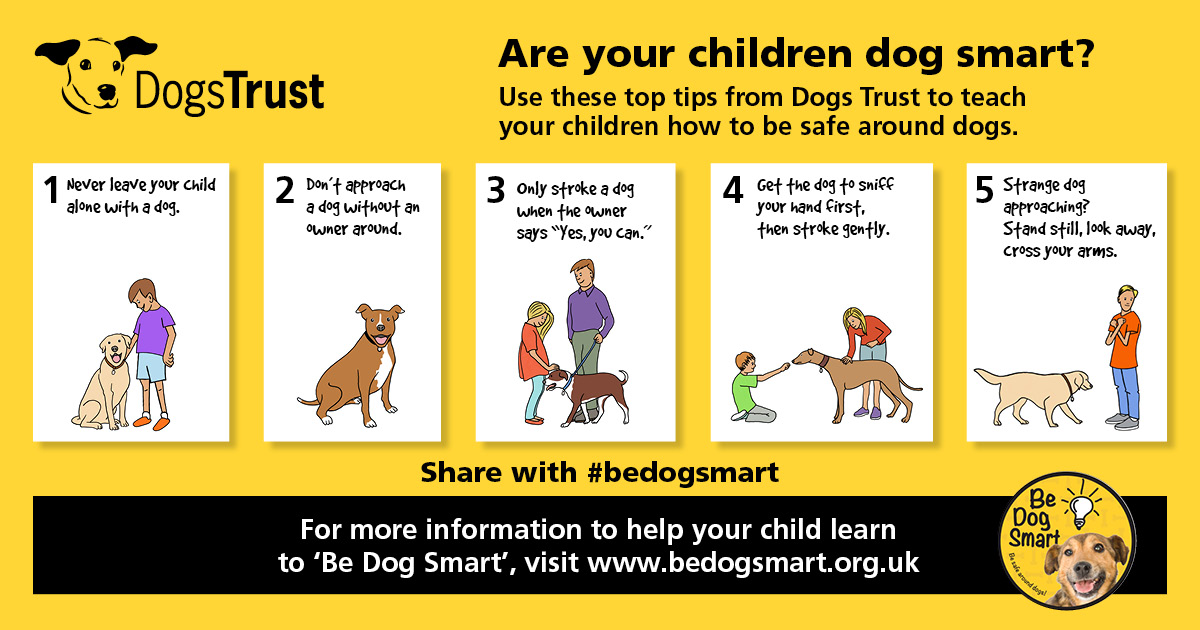Dogs Trust Be Dog Smart Week Infographic