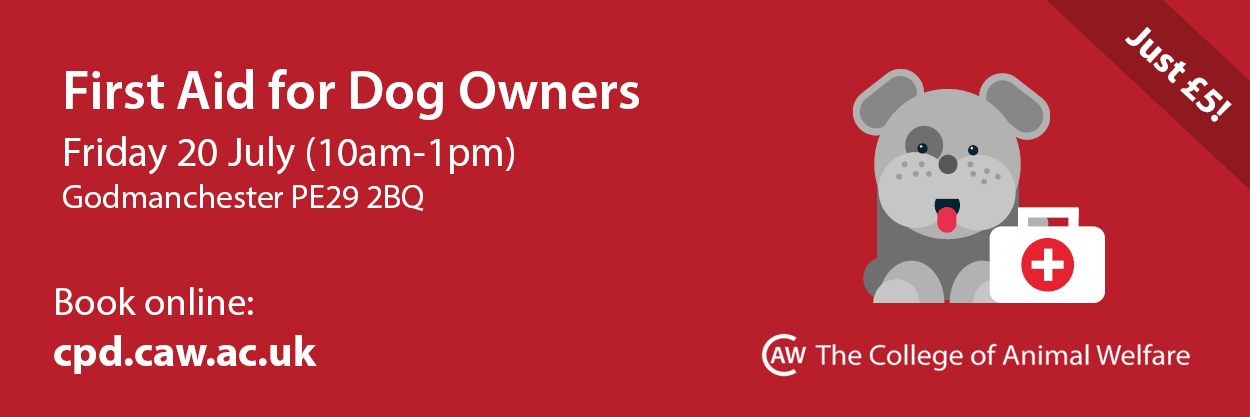 dog first aid course promotional poster