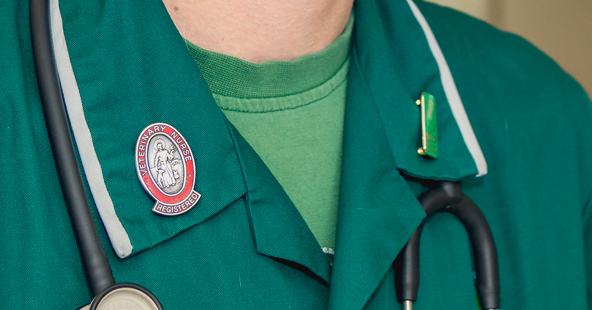 Qualified Veterinary Nursing Uniform with Registered Veterinary Nurse Badge