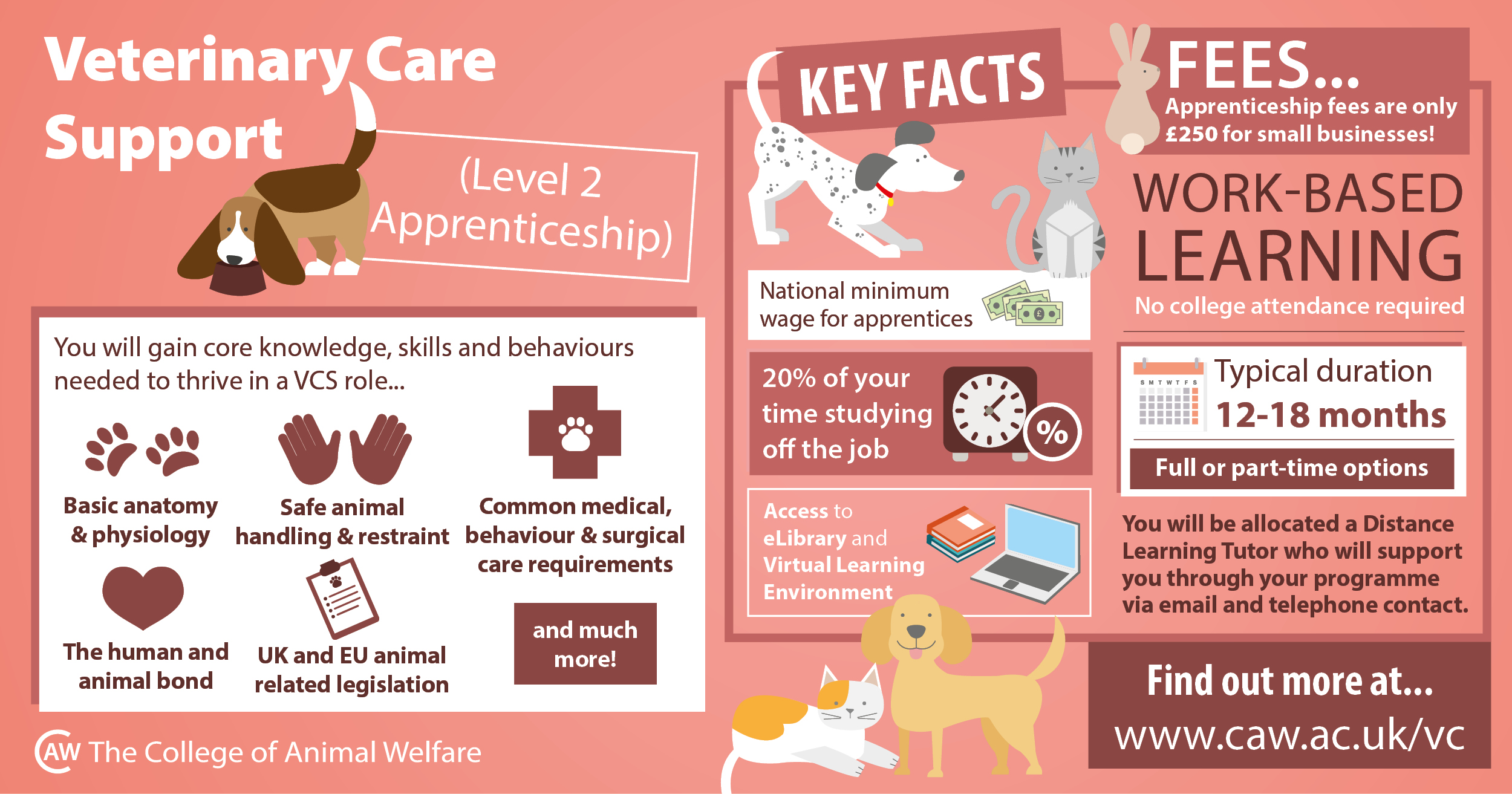veterinary care support apprenticeship infographic