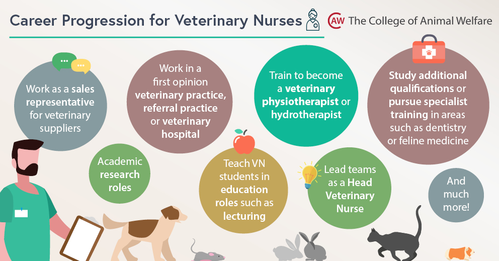 Career Progression for Veterinary Nurses