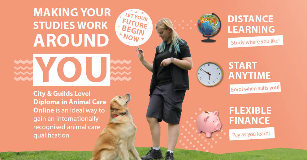 Level 2 Diploma in Animal Care Online Learning Advertisement