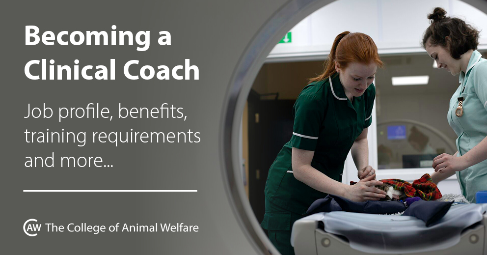 Clinical coach benefits