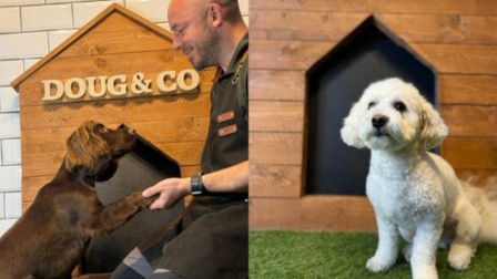 Dog Grooming student, Jon, with two of the dogs he has groomed