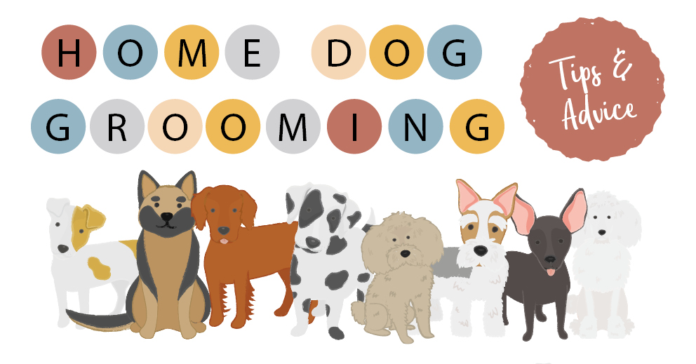 Home Dog Grooming Blog Post Image