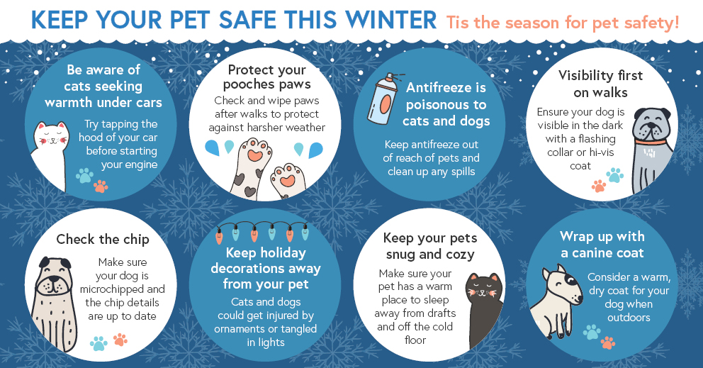 Winter Pet Safety Tips Infographic1