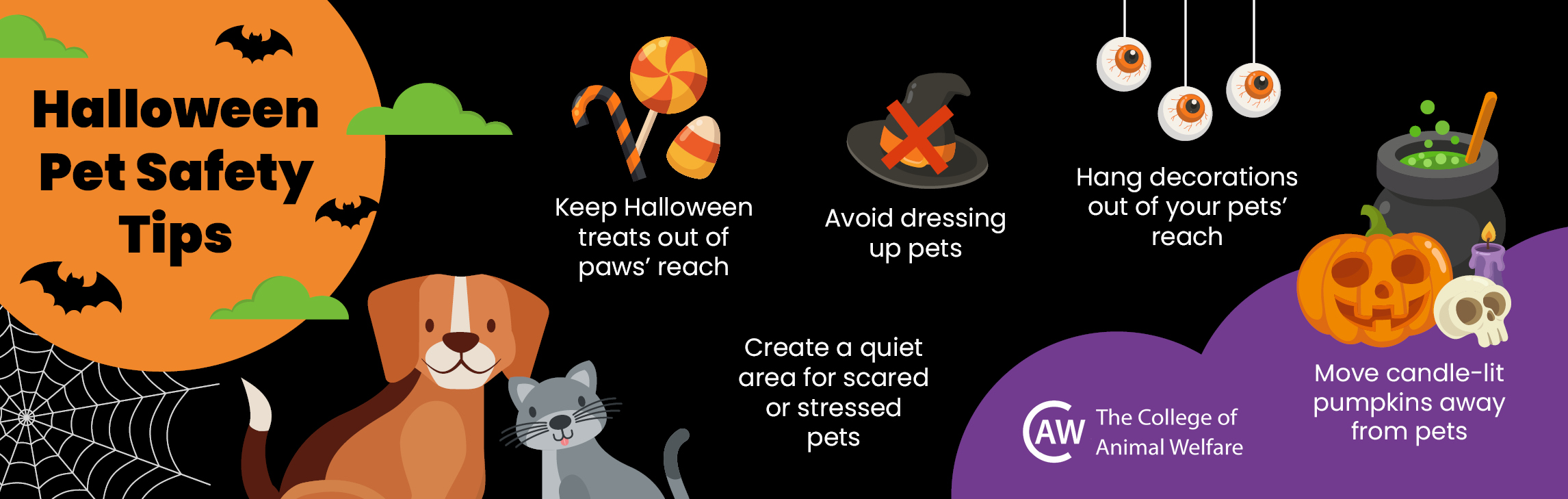 Pet Safety Halloween