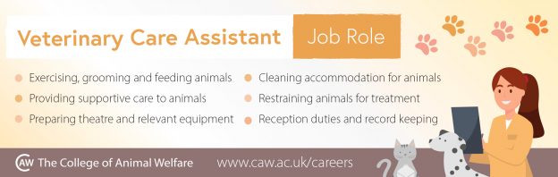 Veterinary Care Assistant