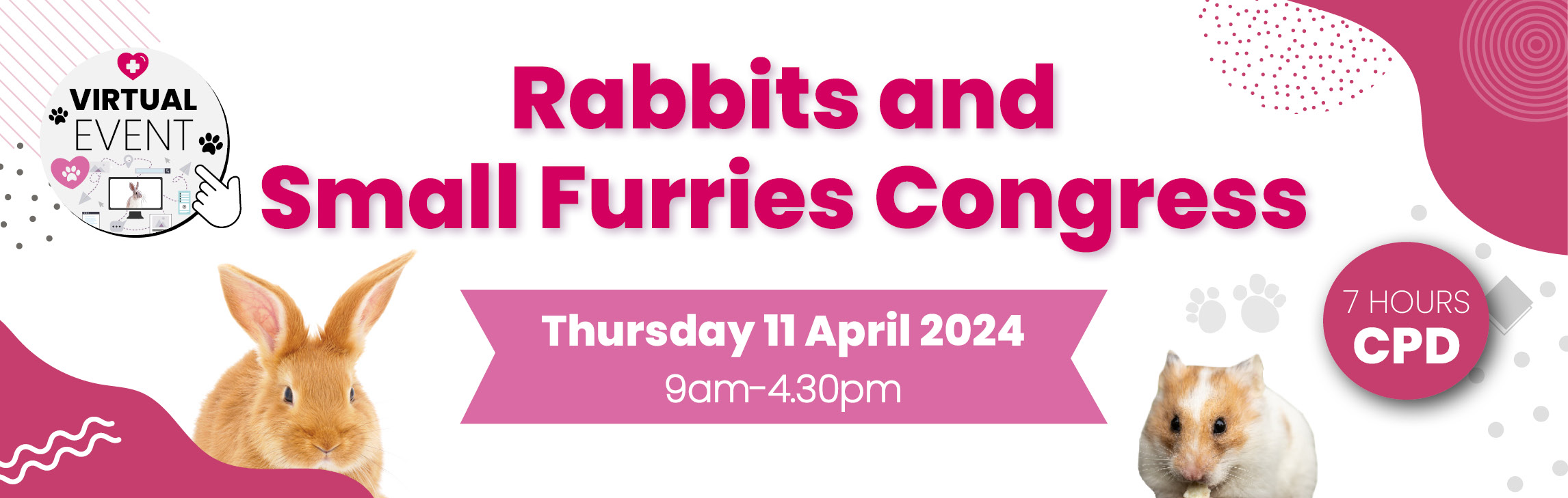 Rabbits and Small Furries Congress 2024