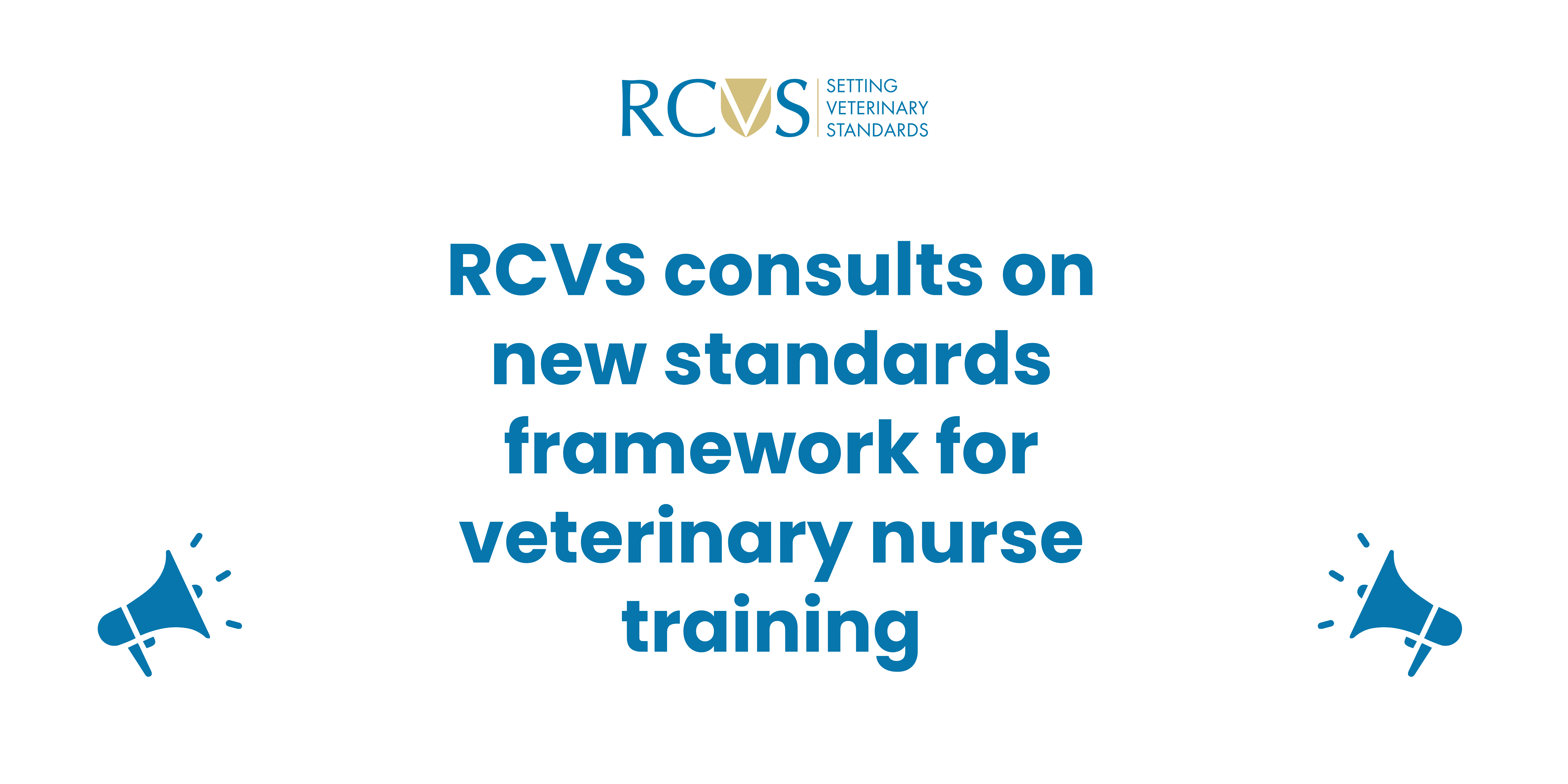 RCVS VN Training Consultation